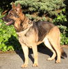 Zeike