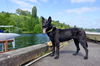 Nikko
