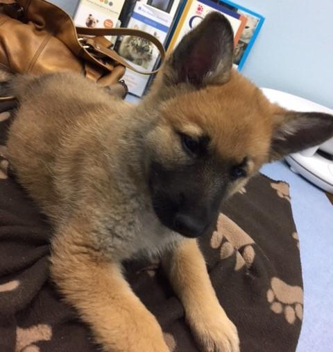 Nora