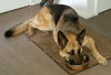 Lilah