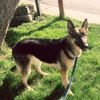 Athena