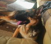 Athena