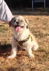 Toby