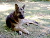 Athena