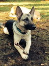 Kenai