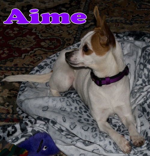 Amie