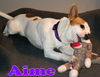 Amie