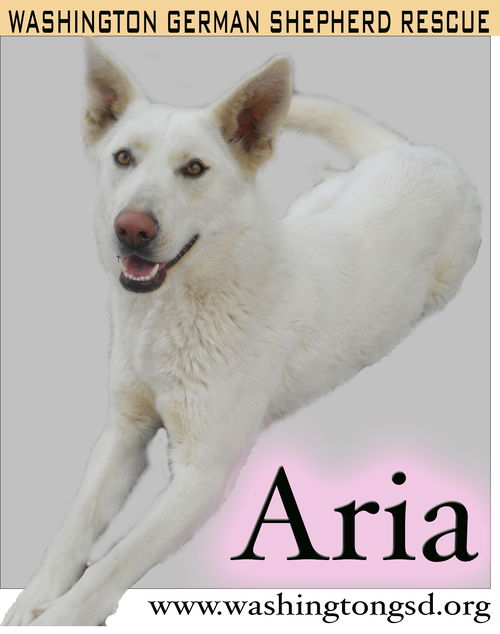 ARIA