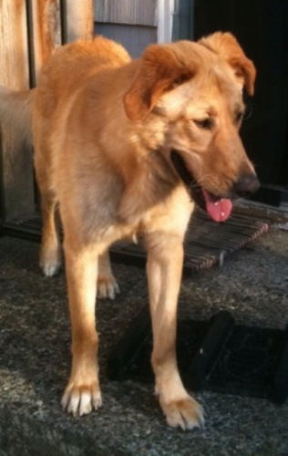 TULLY
