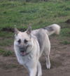 Samantha