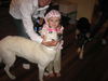 Ranger/adopt pendi