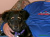 Mandy AdoptPend