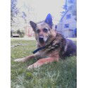 Rest in Peace Cora