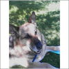 Rest in Peace Cora