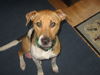Mama/adopt pending