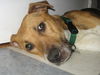 Mama/adopt pending