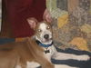 Taylor/adopt pendi