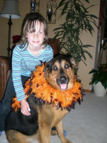 Bruno/adopt pendin