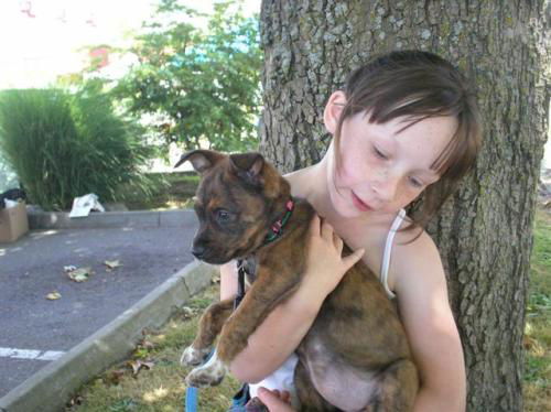 Ariel/adopt pendin