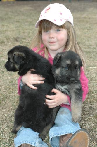 Maggie/adopt pend
