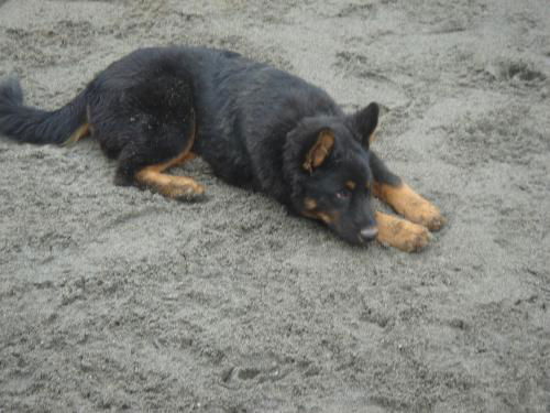Kohl