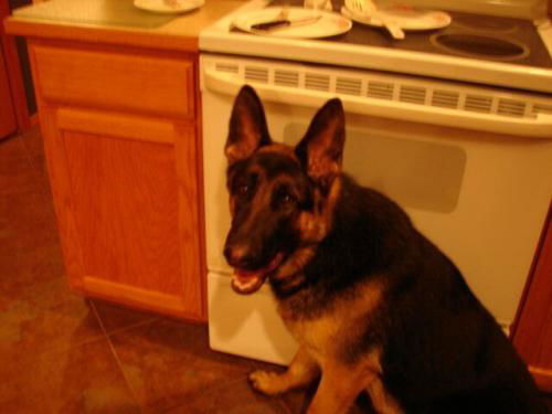 Truman/adopt pendi