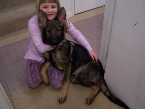 Mia/adopt pending
