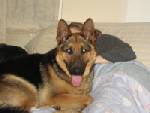 River/adopt pendin