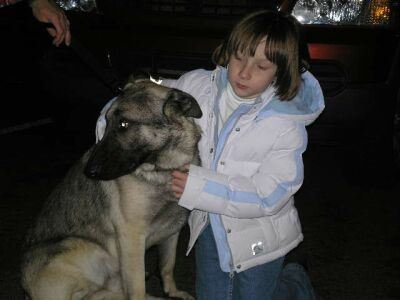 Lobo/AdoptPend
