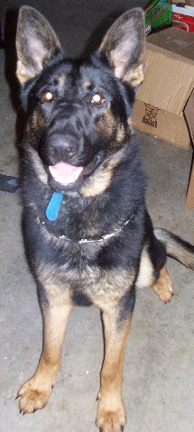 Max