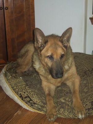 Kita