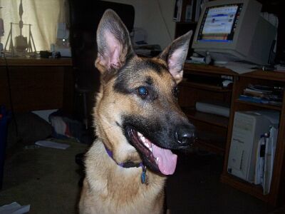 Thor/AdoptPend