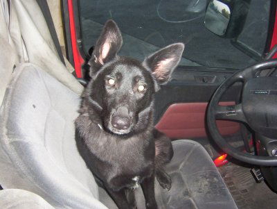 Jane/AdoptPend