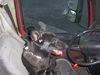 Jane/AdoptPend