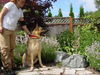 Zeus/adopt pending