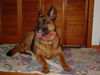 Keesa/AdoptPend