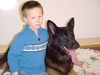 Kodiak/Adopt Pendi