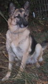 AnnieADOP PEND
