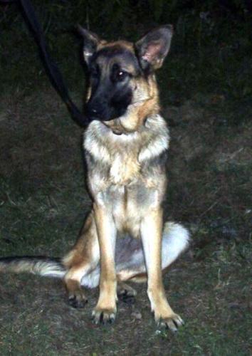 Lilly(adop pend)