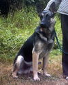 KenoADOPT PEND