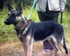 KenoADOPT PEND