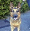 TuckerAdoptPend