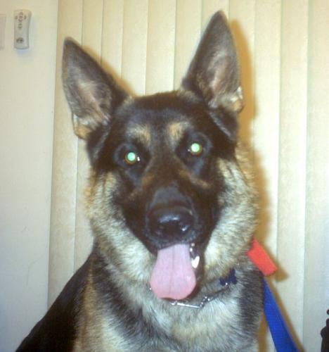 Lothar (Apopt Pend