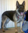 Lothar (Apopt Pend