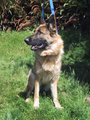 Katja (ADOPTION PE