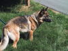 Katja (ADOPTION PE