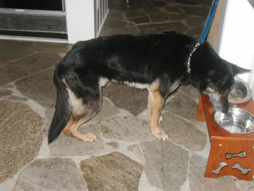 Thor