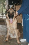 Ritter