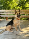 Lily