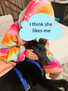 Josephine